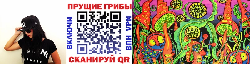 Купить где Оса Галлюциногенные грибы мицелий